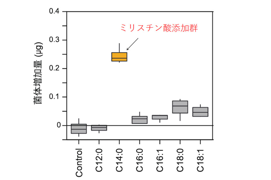 R. irregularisのバイオマスを増加