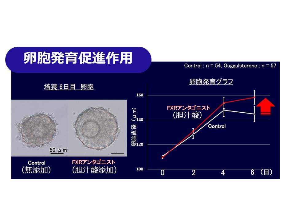胆汁酸を用いた妊娠率向上に関する研究開発 ［信州大学・農学部］
